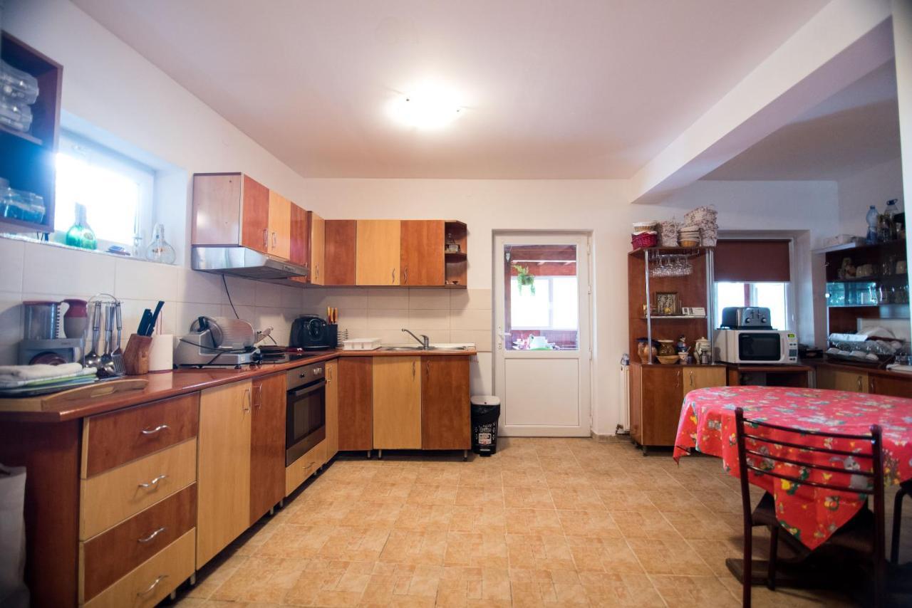 Casa Domneasca Villa Baia de Fier Dış mekan fotoğraf