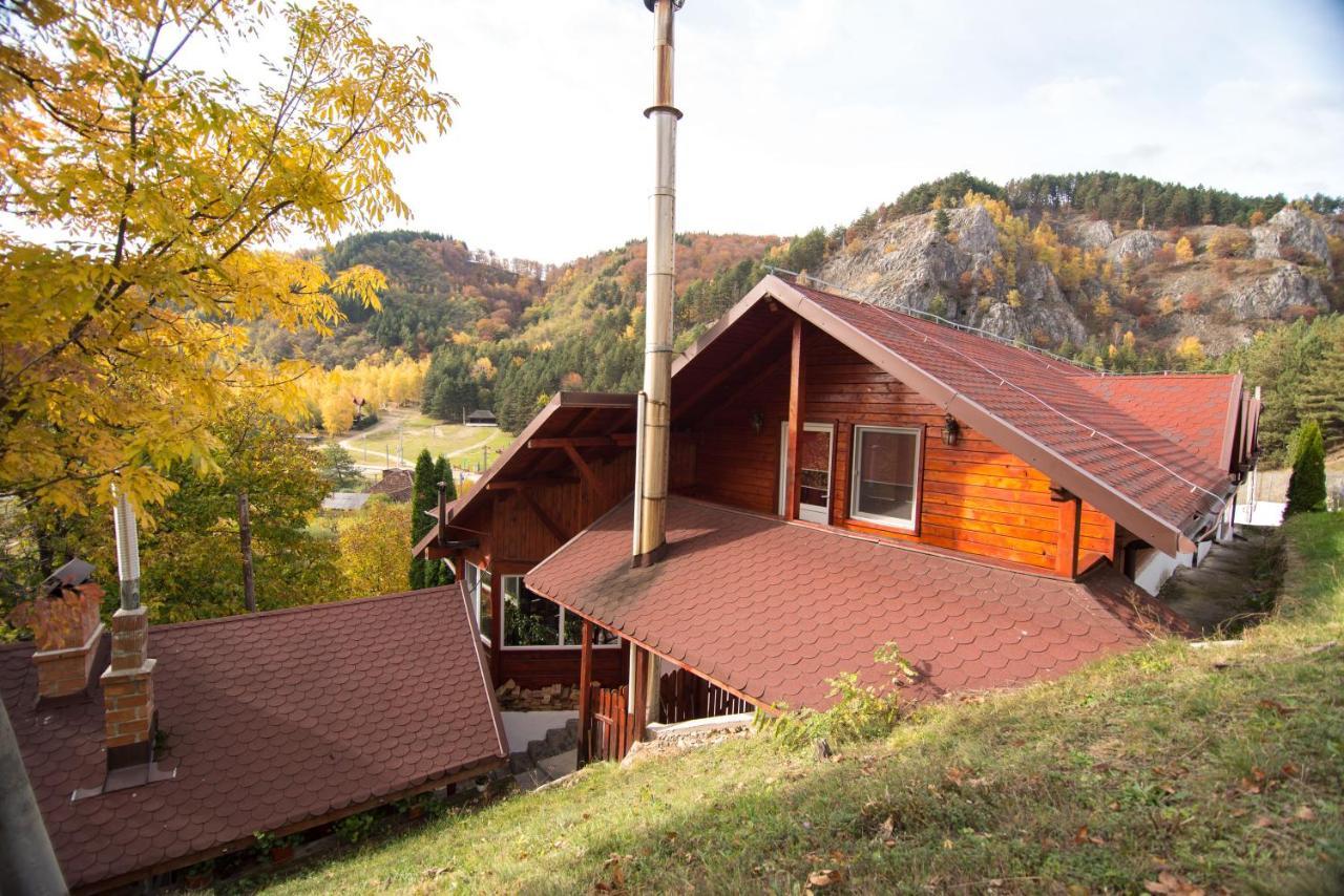Casa Domneasca Villa Baia de Fier Dış mekan fotoğraf