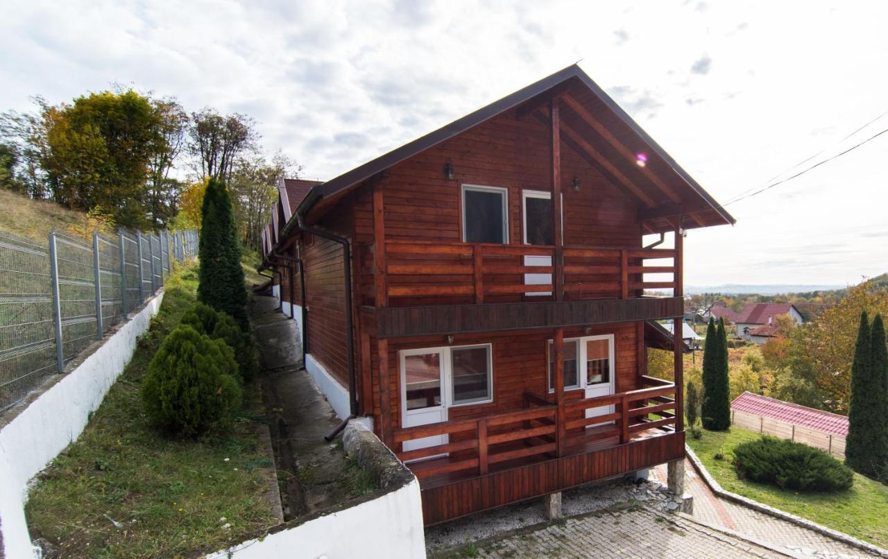 Casa Domneasca Villa Baia de Fier Dış mekan fotoğraf