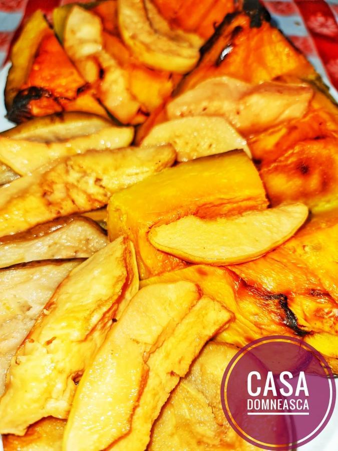 Casa Domneasca Villa Baia de Fier Dış mekan fotoğraf
