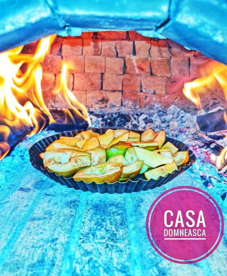 Casa Domneasca Villa Baia de Fier Dış mekan fotoğraf