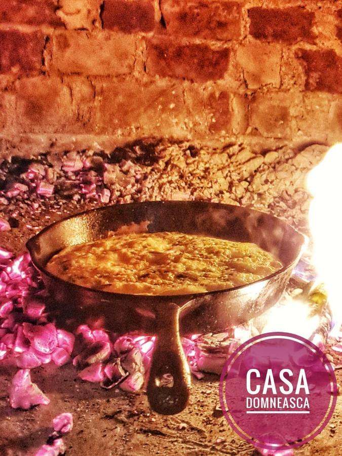 Casa Domneasca Villa Baia de Fier Dış mekan fotoğraf