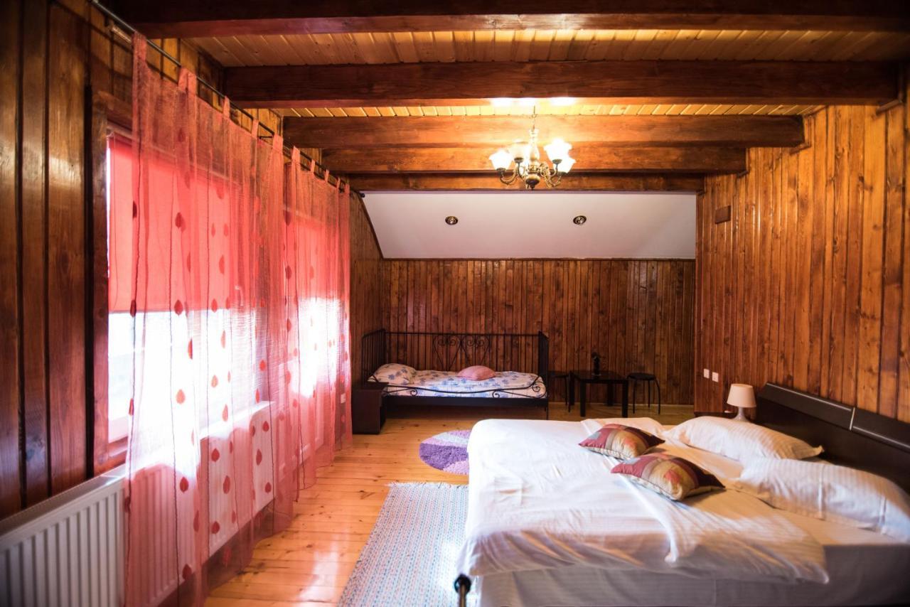 Casa Domneasca Villa Baia de Fier Dış mekan fotoğraf