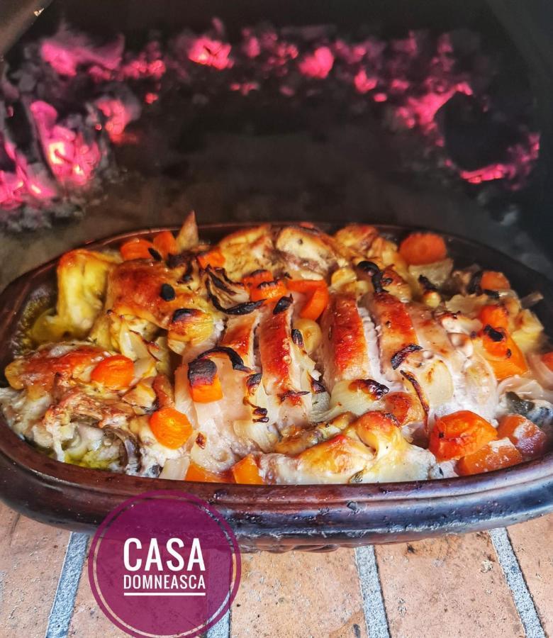 Casa Domneasca Villa Baia de Fier Dış mekan fotoğraf