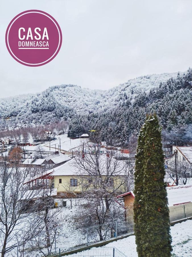 Casa Domneasca Villa Baia de Fier Dış mekan fotoğraf