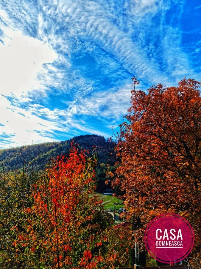 Casa Domneasca Villa Baia de Fier Dış mekan fotoğraf