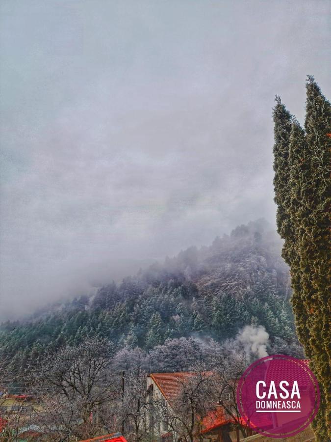 Casa Domneasca Villa Baia de Fier Dış mekan fotoğraf