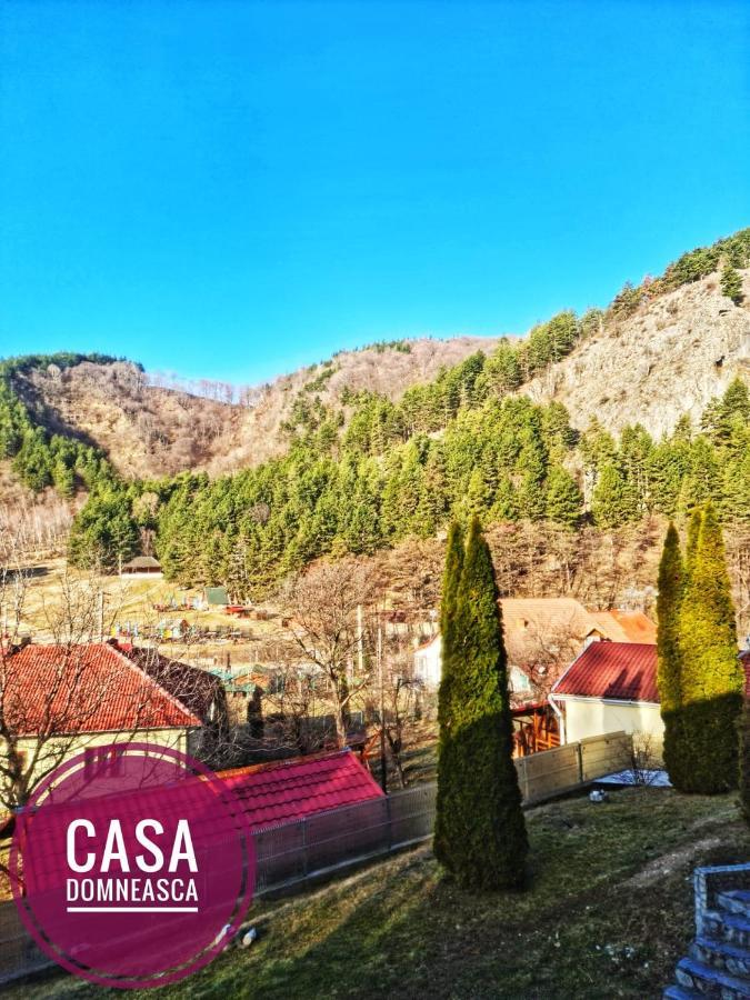 Casa Domneasca Villa Baia de Fier Dış mekan fotoğraf