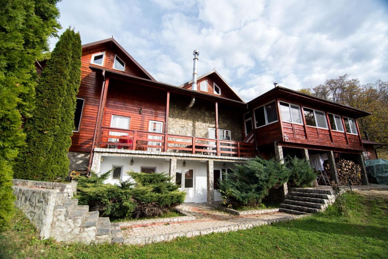 Casa Domneasca Villa Baia de Fier Dış mekan fotoğraf