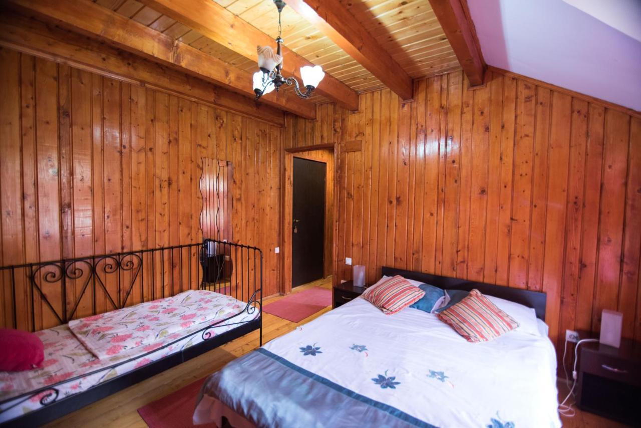 Casa Domneasca Villa Baia de Fier Dış mekan fotoğraf