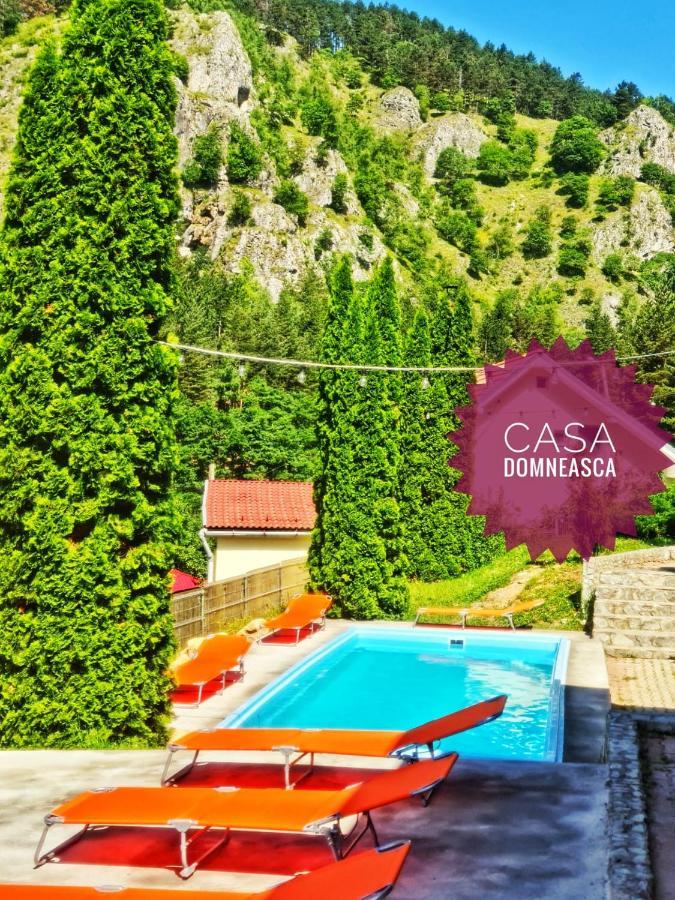 Casa Domneasca Villa Baia de Fier Dış mekan fotoğraf